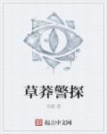 草莽警探有cp吗
