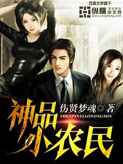 网络极品小农民