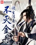 不灭金丹先天灵光