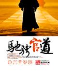驰骋官道哪里能看