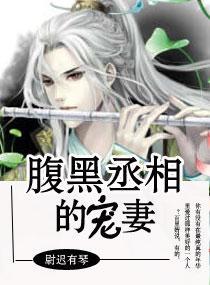 腹黑丞相的宠妻第3季