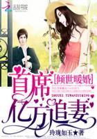 倾世暖婚首席亿万追妻免费