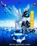 龙腾18-200镜头重量