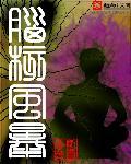 脑核风暴剑灵王