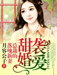 甜婚袭爱总裁的落魄新妻安萝