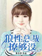 狼性总裁要够没33言情