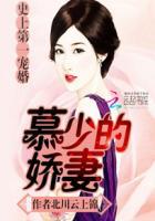 史上第一宠婚慕少的娇妻摩天轮
