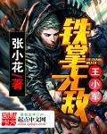 铁掌无敌王小军百度