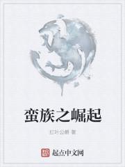 蛮族崛起08