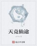 天途修仙攻略大全