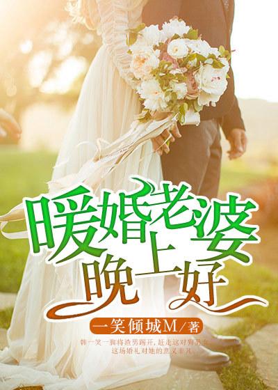 暖婚老婆晚上好电视剧全集在线观看