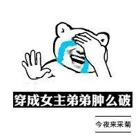 穿成女主的兄长