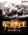 军火之王全文免费阅