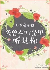 我曾在时光里听过你 耳东兔子晋江