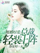 纸婚厚爱总裁轻装上阵叶琛唐瑾灵