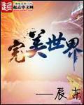 完美世界12月10日主力资金净流入