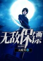 无敌女保镖电视剧
