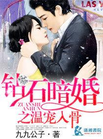 钻石暗婚总裁轻装上阵TXT
