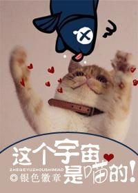 这个宇宙是喵的! 银色徽章