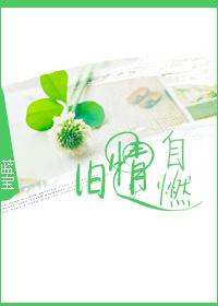 旧情自燃全文免费阅读