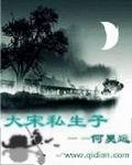 大宋结局