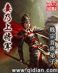 妻乃上将军男主有多少个老婆