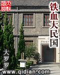 铁血大民国txt百度