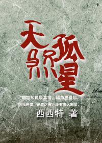 天煞孤星小夫郎txt百度
