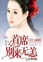 名门盛婚首席别来无恙笔趣阁