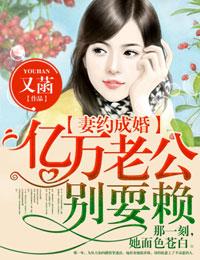 亿万妻约前妻已改嫁
