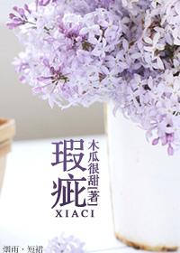 瑕疵怎么读音
