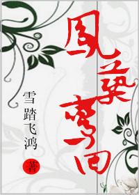凤榻鸾栖