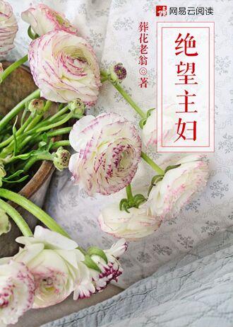 绝望主妇第五季在线观看电视剧