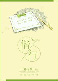 焚凰契龙途偕行