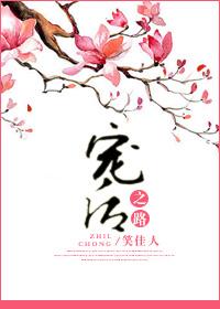 宠后之路完整