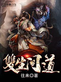 双生如何玩