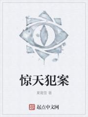 惊天大案的案的意思