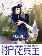 都市之护花兵王