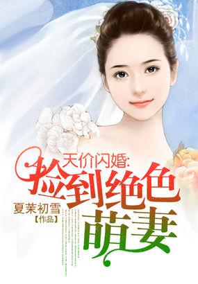 捡到闪婚大小姐免费阅读