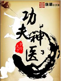 功夫神医步行天下