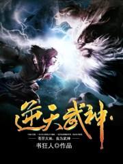 逆天武神女主有几个