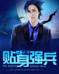 贴身兵王简介