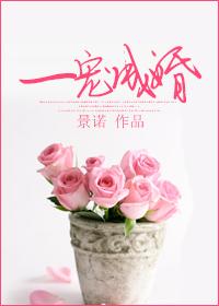 一宠成婚景诺txt盘