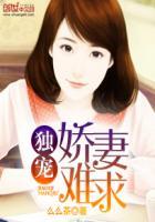 独宠娇妻难求莫骄阳全文阅读