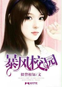 暴风校园txt
