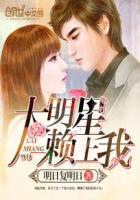 大明星爱上我下