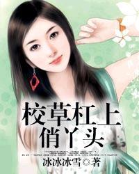 校草杠上俏丫头有第二部吗