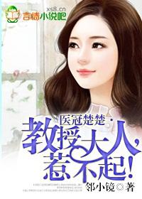 医冠楚教授大人全文完