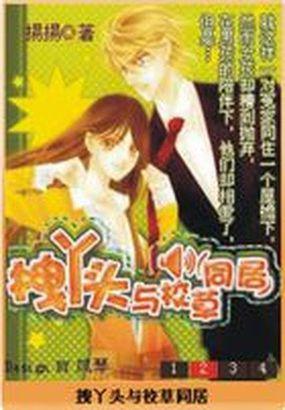 拽丫头与校草同居番外