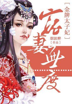 宠妻无度金牌相公第2部
